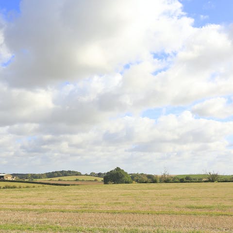 Savour the peace and quiet of the countryside location