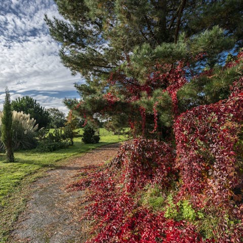 Stroll along the medieval walking routes which traces past the home