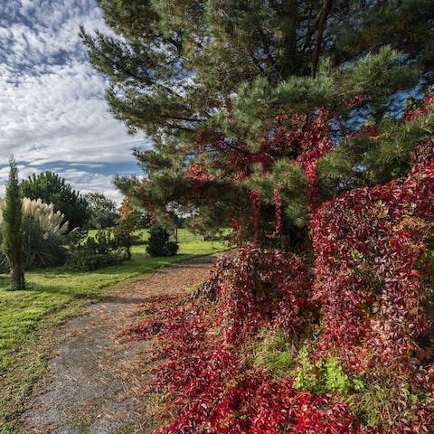 Stroll along the medieval walking routes which traces past the home