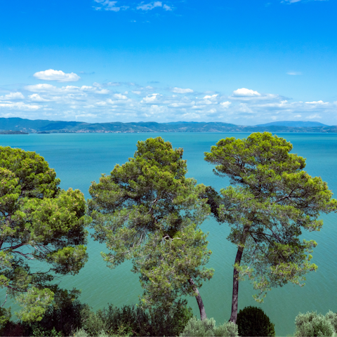 Experience the natural beauty of Umbria from Lake Trasimeno