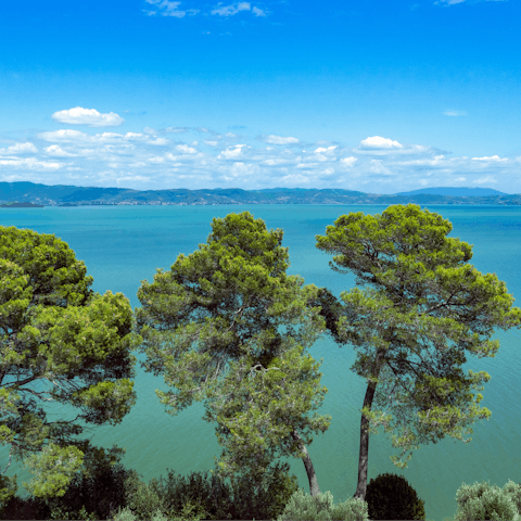 Experience the natural beauty of Umbria from Lake Trasimeno