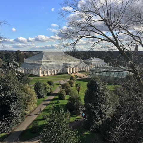 Spend an afternoon exploring Kew Gardens, a ten-minute walk away