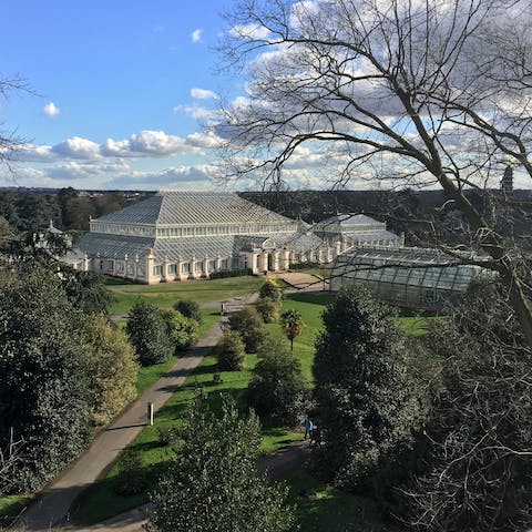Spend an afternoon exploring Kew Gardens, a ten-minute walk away