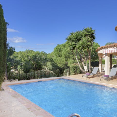 Swim in a pool overlooking the wilderness