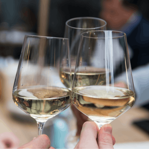 Arrange a wine tasting tour and sample Santorini's finest bottles