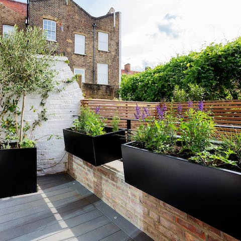 Take your pre-dinner livener out onto the sunny terrace