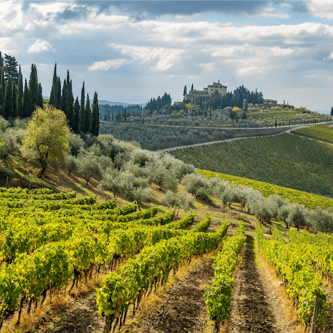 Stroll the cobblestone lanes of Radda, set amongst a sea of vines
