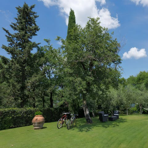Hop on the bikes and head out to explore the local area with loved ones