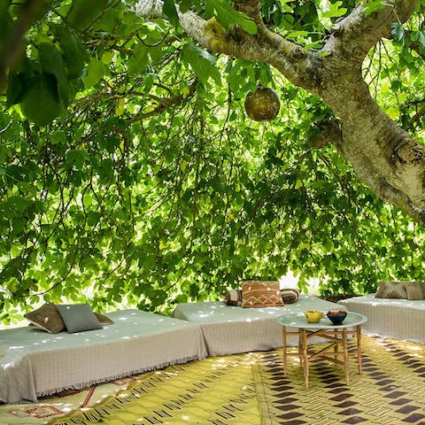 Meditate in the lush tree den