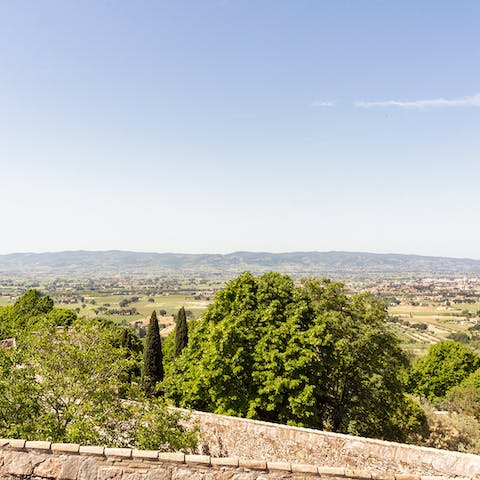 Gaze out at the verdant landscape with your morning coffee