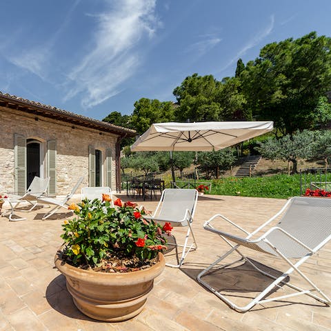 Relax on the terrace with a new book