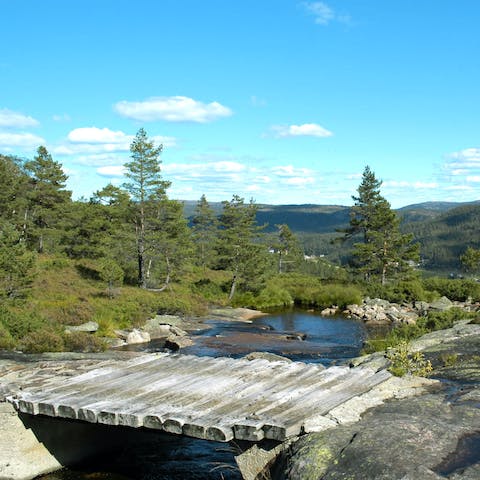 Stroll along the banks of the lake, just 250 metres from your front door