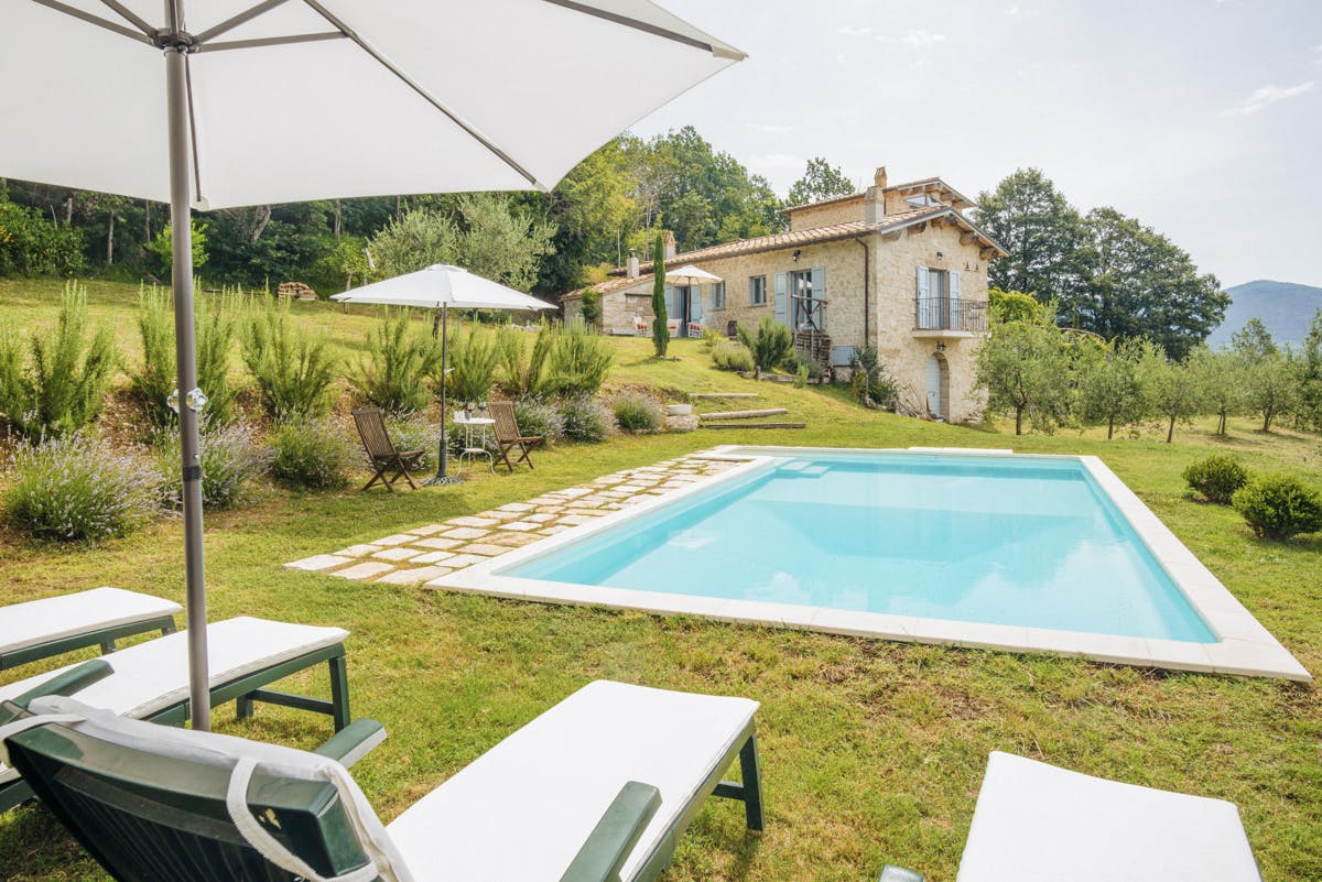 Pomegranate & Persimmon