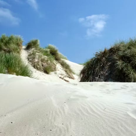 Visit the sandy Camber Beach, a ten-minute drive away