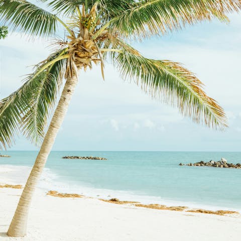 Explore the white sands of Key West on your doorstep