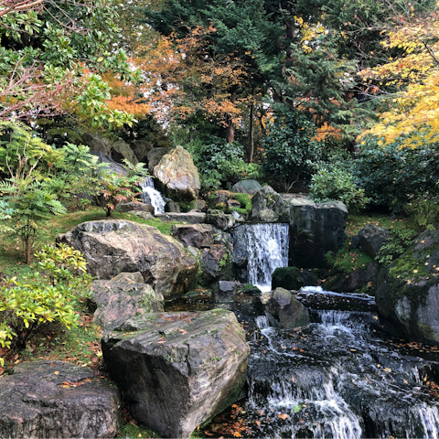 Stroll to Holland Park for a breath of fresh air – it's mere moments away