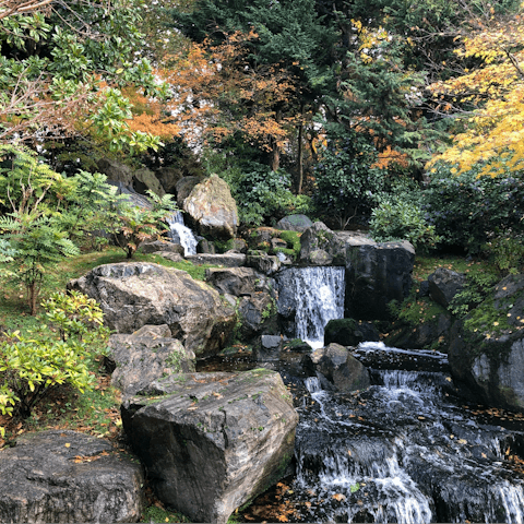 Stroll to Holland Park for a breath of fresh air – it's mere moments away