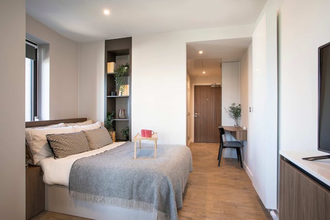 The Modern Nest