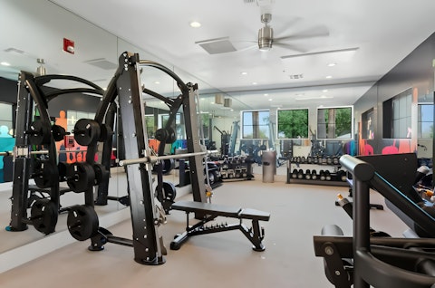 Train in a well-equipped shared gym