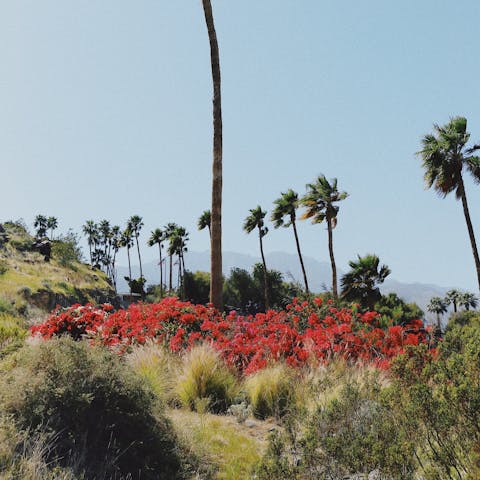 Head for the hiking trails of the San Jacinto Mountains, right on your doorstep