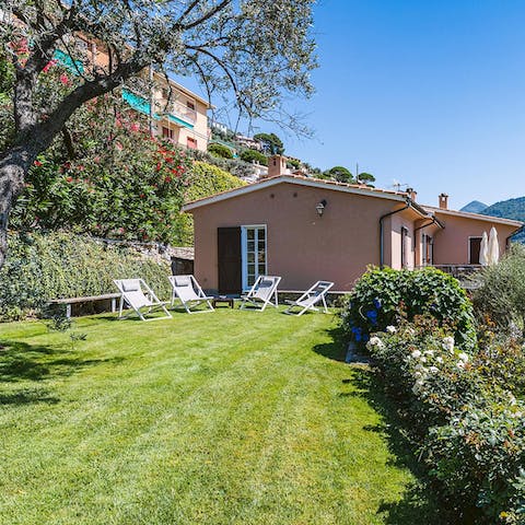 Soak up the sunshine in the garden