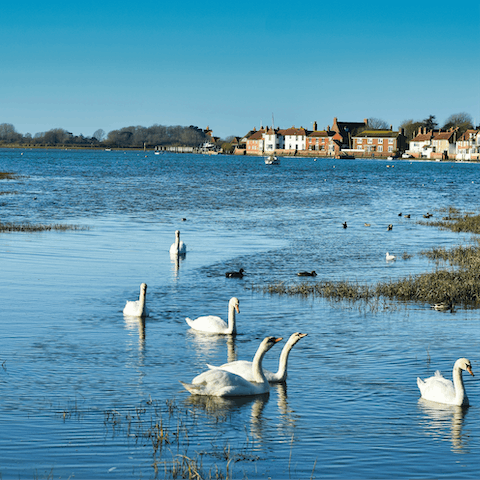 Admire the scenery on the eleven minute walk to Bosham Quay