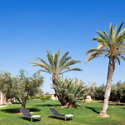Gather everyone together for a spot of petanque on the lawns