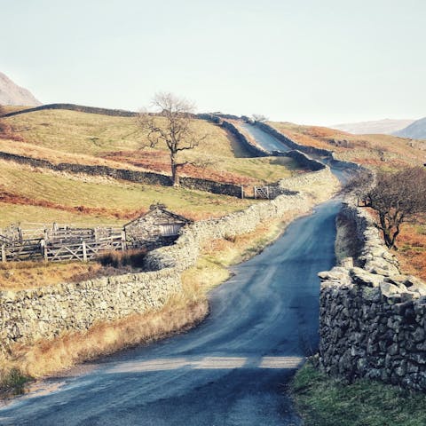 Take a road trip over the border to North Scotland  –⁠ just a  forty-minute drive away