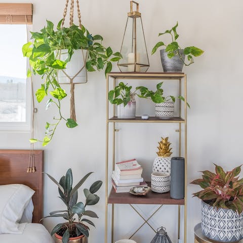 Take a deep, fresh breathe of air once you've arrived and unpacked with lots of greenery filling the house