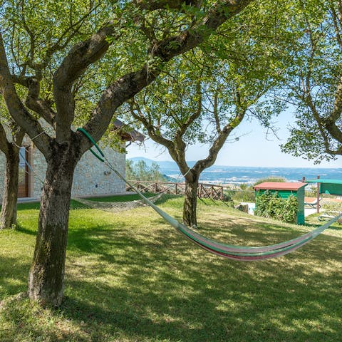 Swing in a hammock strung up between twisting olive trees