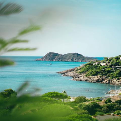Take a drive along the coast to see the Cote d'Azur's beauty up close