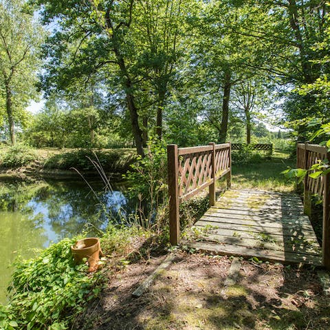 Watch the ducklings in the private pond