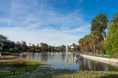 Stroll to Echo Park Lake, a scenic urban oasis, in about fifteen minutes