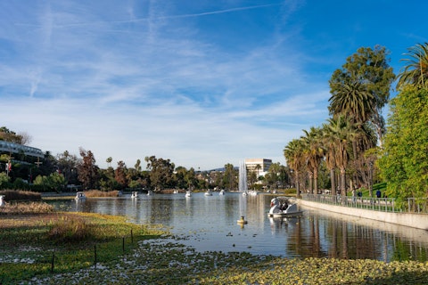 Stroll to Echo Park Lake, a scenic urban oasis, in about fifteen minutes