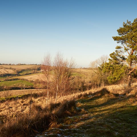 Go for long country walks in the hills