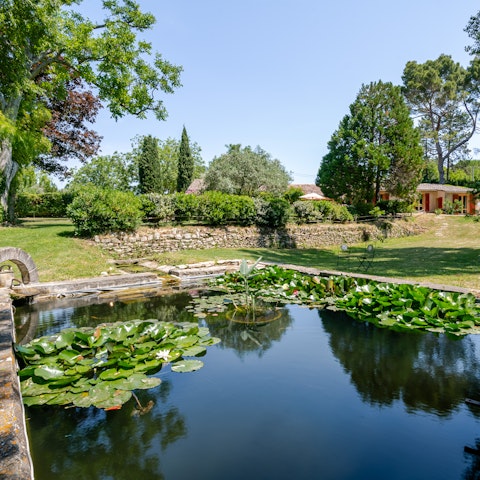 Sit by the spring-fed pond and read a book