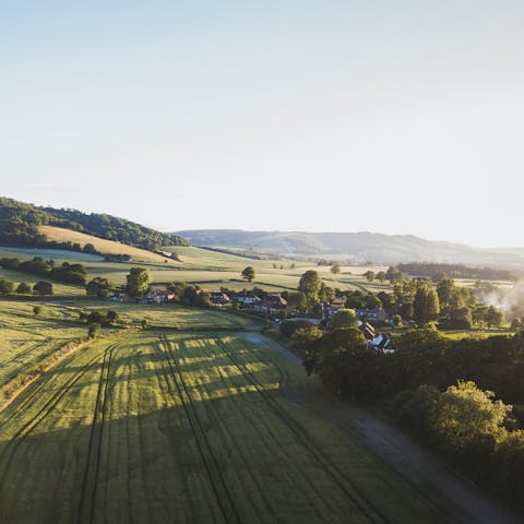Explore the surrounding South Downs National Park