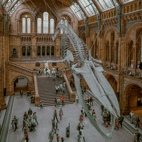 Hop on the tube and check out the museums of South Kensington