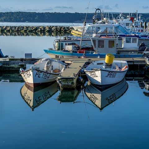 Explore the stunning Dorset coastline by boat
