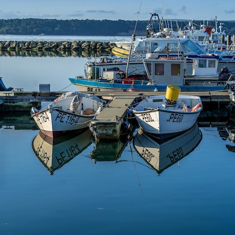 Explore the stunning Dorset coastline by boat