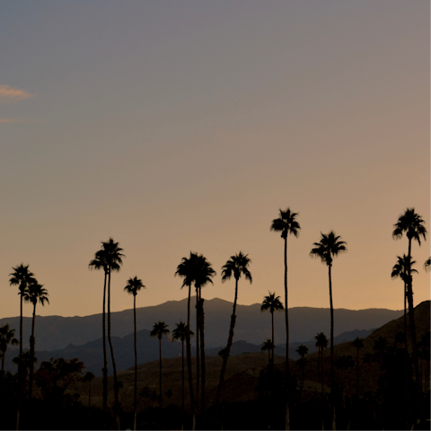 Explore Palm Springs, including the historic Palm Canyon Drive, a short drive away