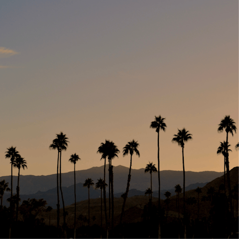 Explore Palm Springs, including the historic Palm Canyon Drive, a short drive away
