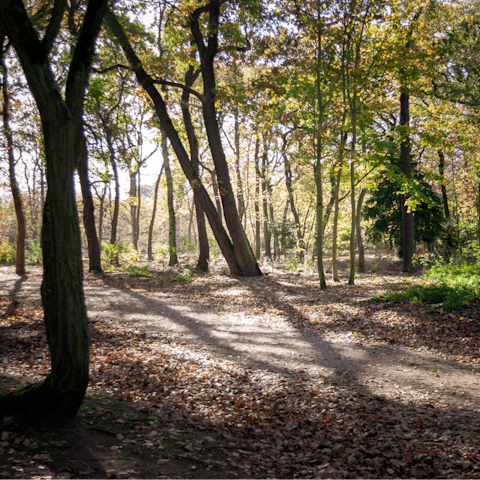 Explore Boulogne-Billancourt, including the nearby Bois de Boulogne
