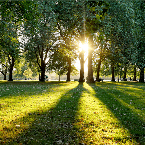 Step away from the city crowds and take peaceful walks through Sunny Hill Park