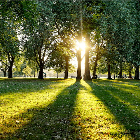 Step away from the city crowds and take peaceful walks through Sunny Hill Park