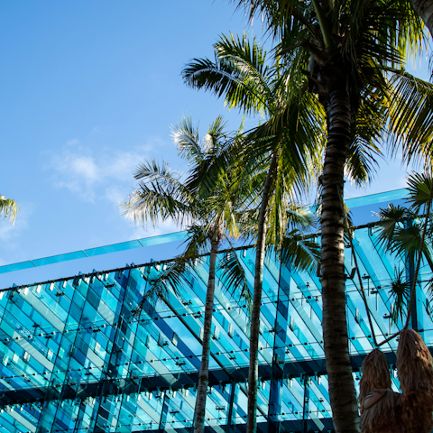 Walk around the sleek modern architecture of Miami Design District