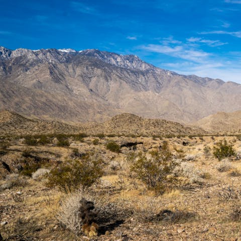 Drive into the spectacular Indian Canyons in just fifteen minutes
