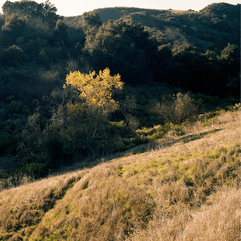 Explore Topanga Canyon's many hiking trails and stunning landscapes
