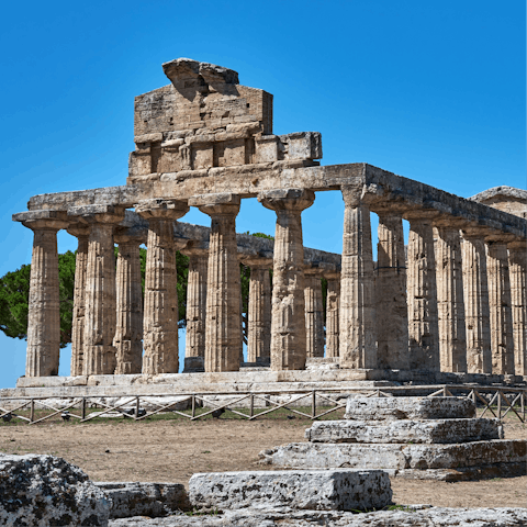 Immerse yourself in the area's rich history, with visits to the archaeological sites of Paestum and Velia