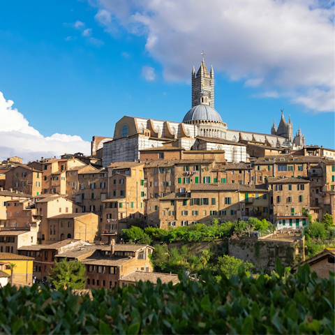 Take a day trip to Siena, a twenty-minute drive away
